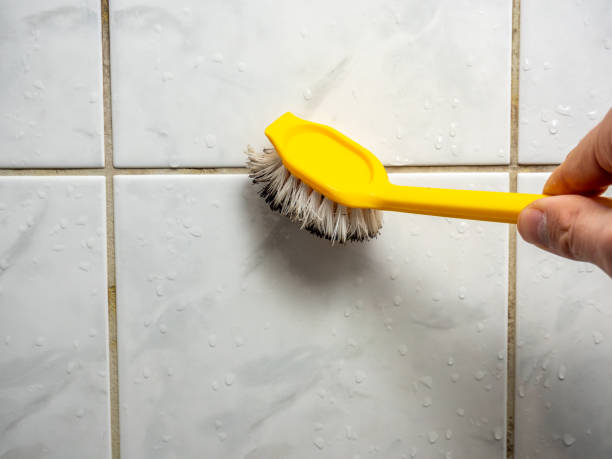 Home Mold Removal in Maplewood, WA