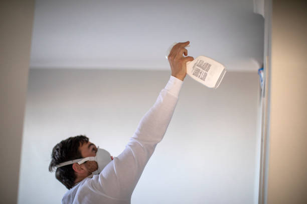 Best Professional Mold Removal  in Maplewood, WA