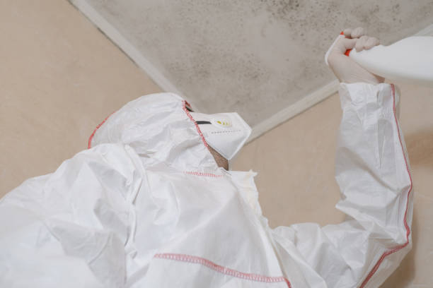 Best Emergency Mold Removal  in Maplewood, WA