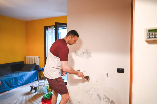 Best Home Mold Removal  in Maplewood, WA